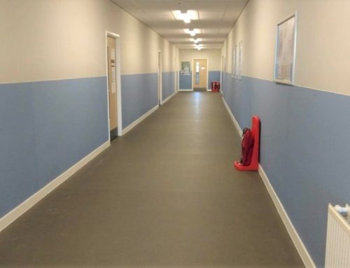 Antimicrobial Wall Protection for School, Slough